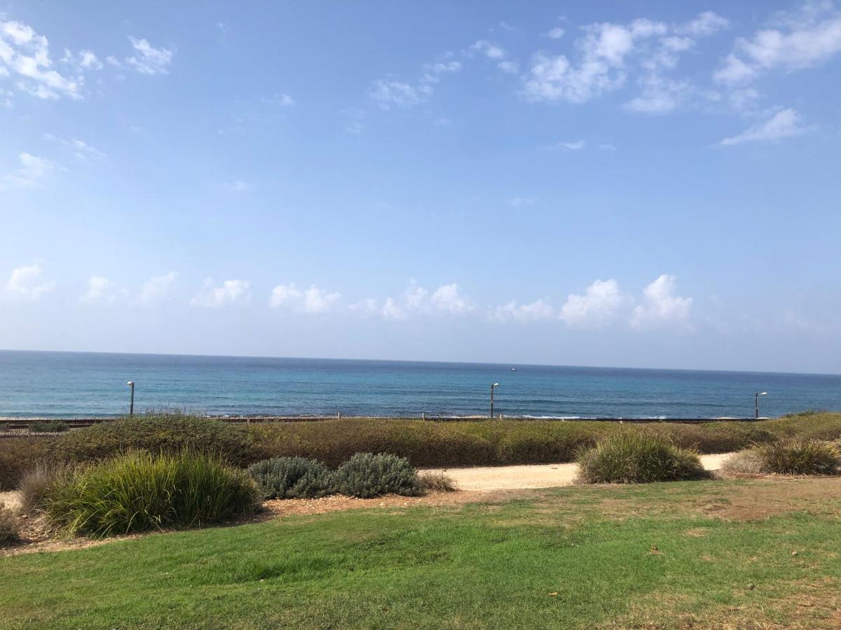 Carmel Beach Luxury Apartment Haifa Bagian luar foto